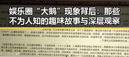 娱乐圈“大鹅”现象背后：那些不为人知的趣味故事与深层观察