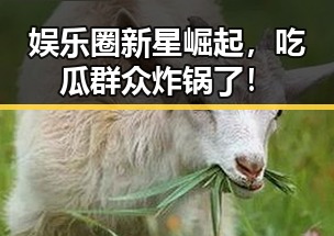 娱乐圈新星崛起，吃瓜群众炸锅了！